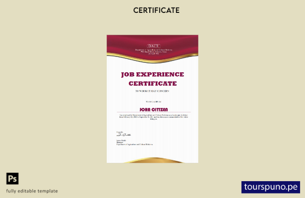 Plantilla de certificado de experiencia laboral de EE. UU. lista para imprimir